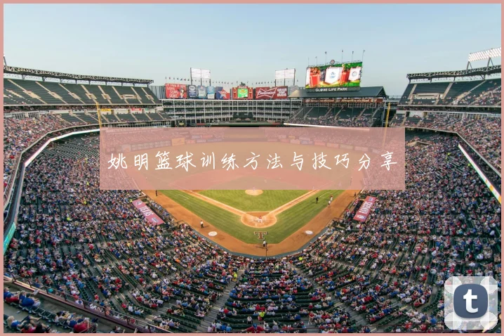 姚明篮球训练方法与技巧分享
