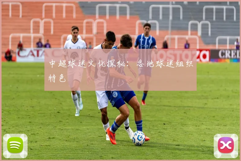 中超球迷文化探秘：各地球迷组织特色