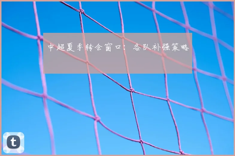 中超夏季转会窗口：各队补强策略